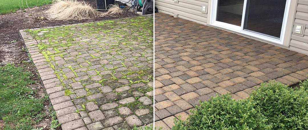 Picture of brick patio pavers before and after soft washing treatment with eco-friendly soft wash chemicals