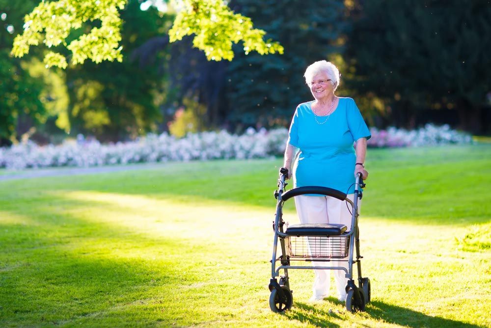 Happy Senior Handicapped Lady With A Walking Disability Enjoying A Walk In A Sunny Park Pushing Her Walker  — Occupational Therapist in Kilgra, NSW