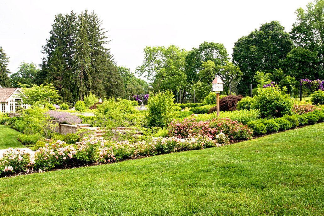 landscape management