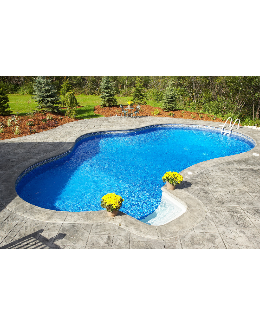 A large blue swimming pool is surrounded by concrete and flowers.