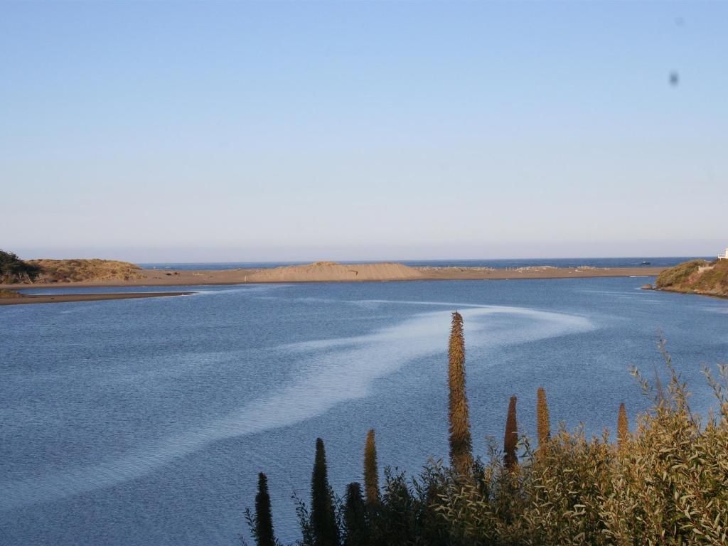 A tranquil body of water under a clear blue sky, with a distant beach and vegetation in the foreground.