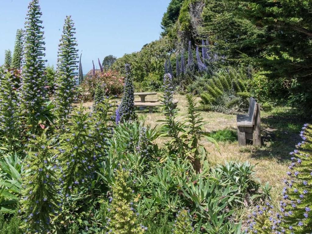 Garden scene with tall flowering plants, two benches, and a wooden table under a blue sky.