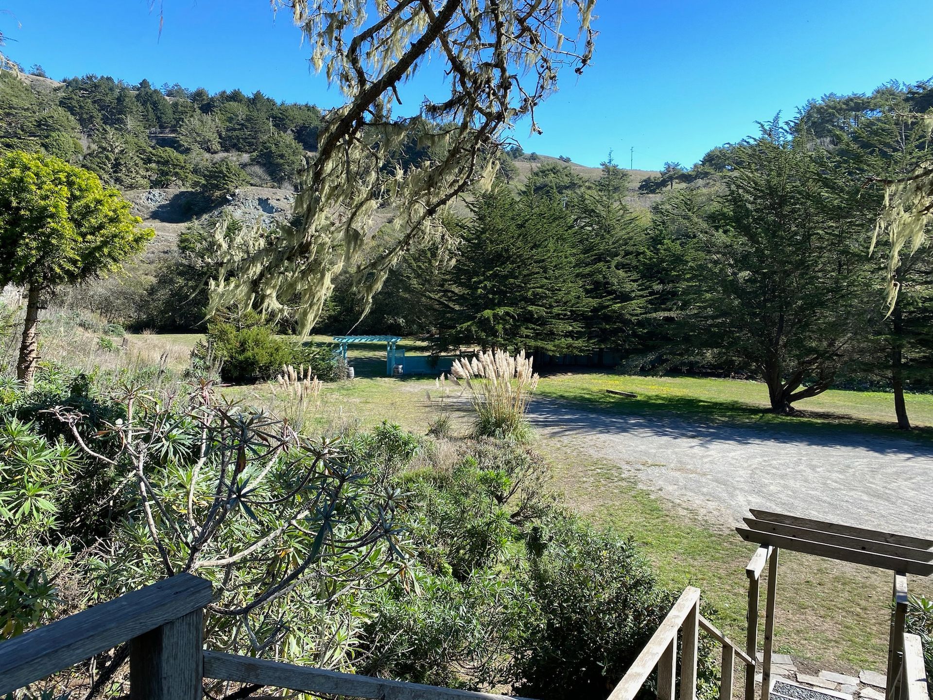 Grassy clearing surrounded by trees under a blue sky, viewed from a wooden structure.