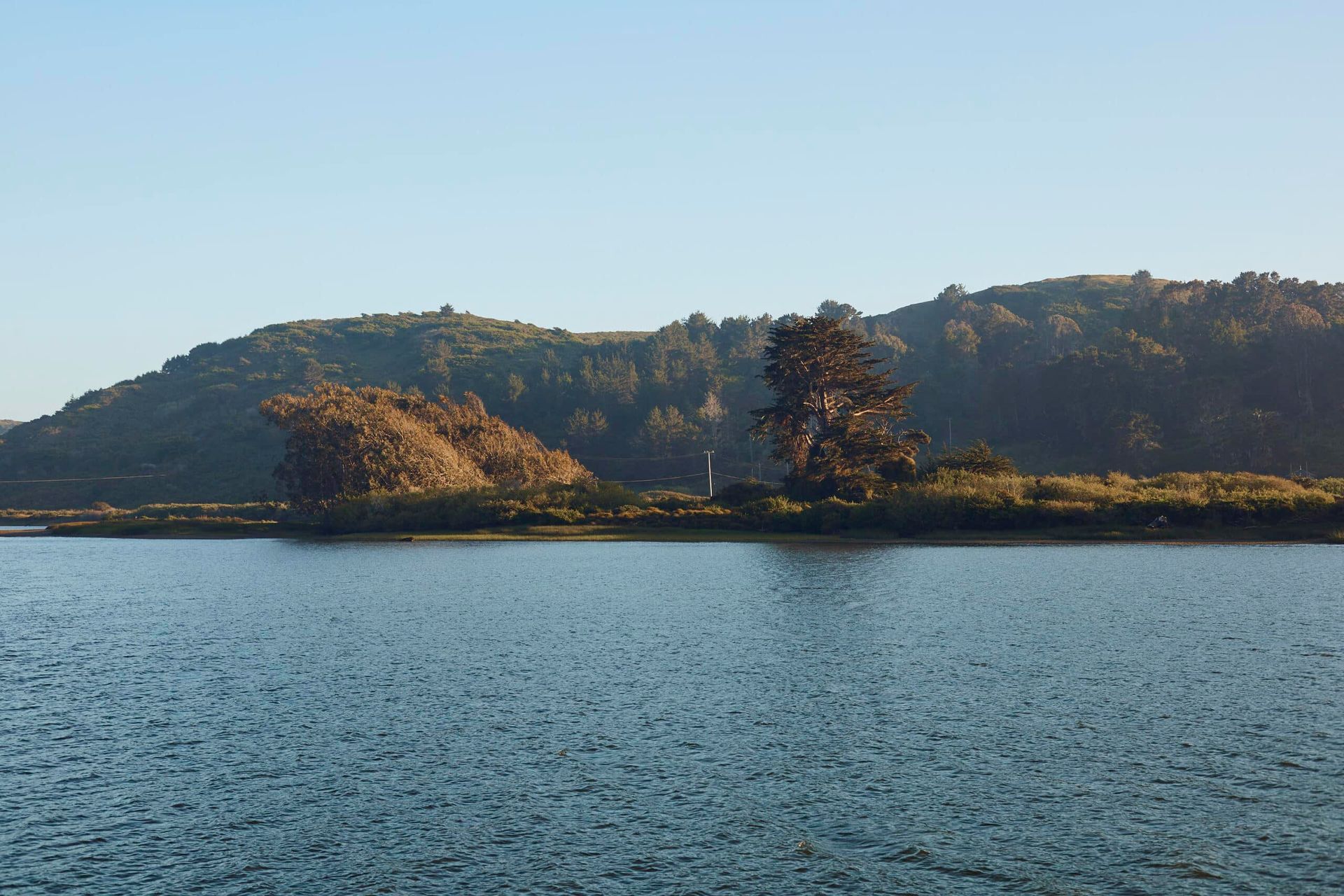 Calm water with rippled surface, forested hill backdrop, clear blue sky.
