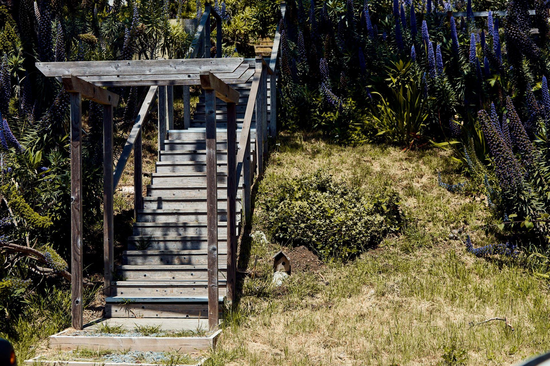 Wooden outdoor stairs ascending a grassy hillside, surrounded by greenery and flowers.