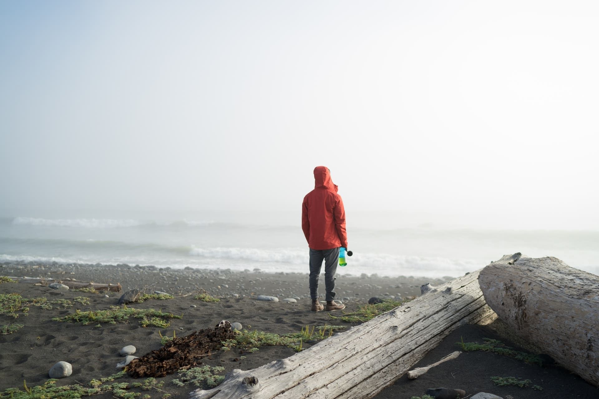 Person in red jacket standing on beach, looking at ocean on a foggy day, with driftwood in the foreground.