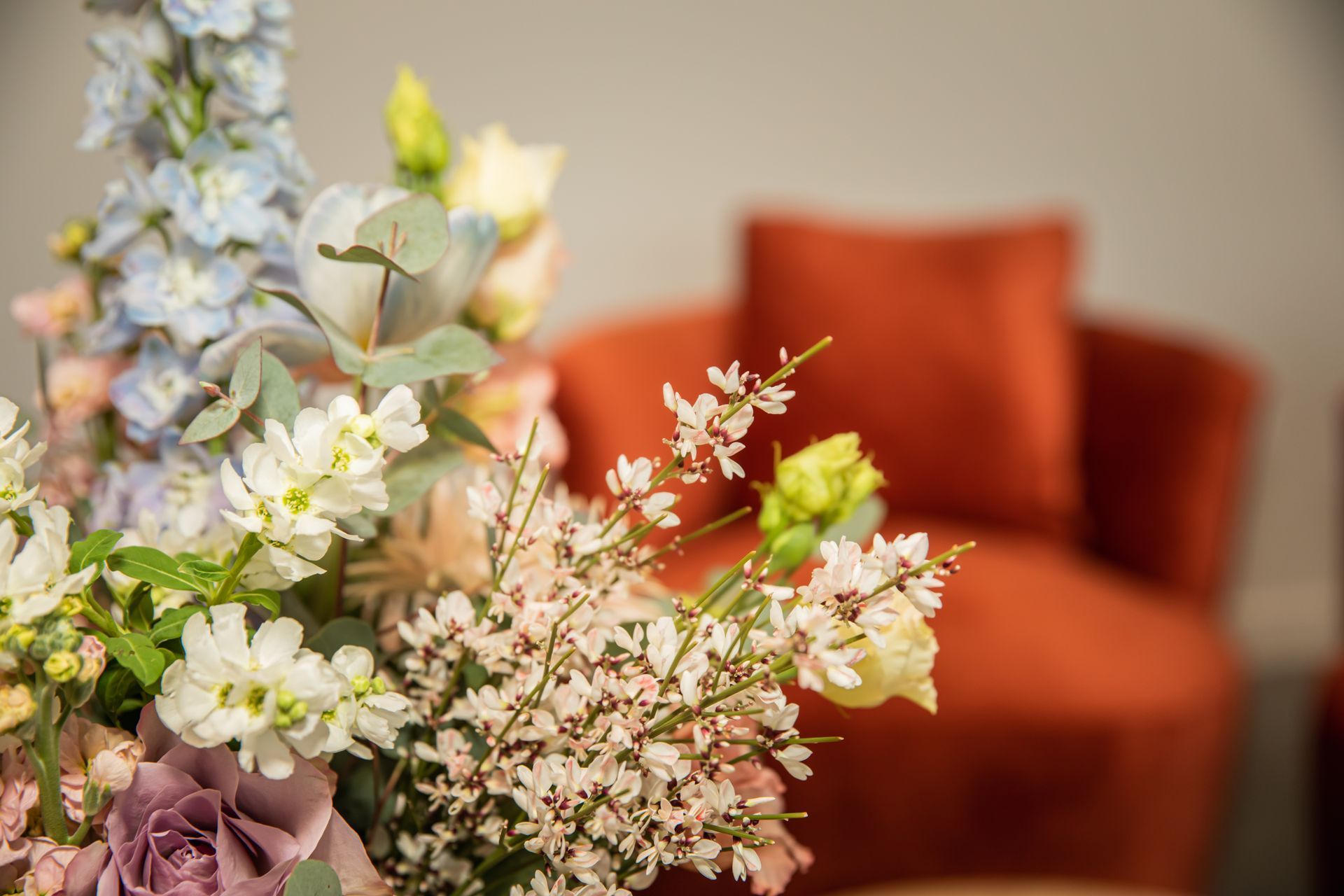 Vitalis Clinic International Hair Clinic Belgium