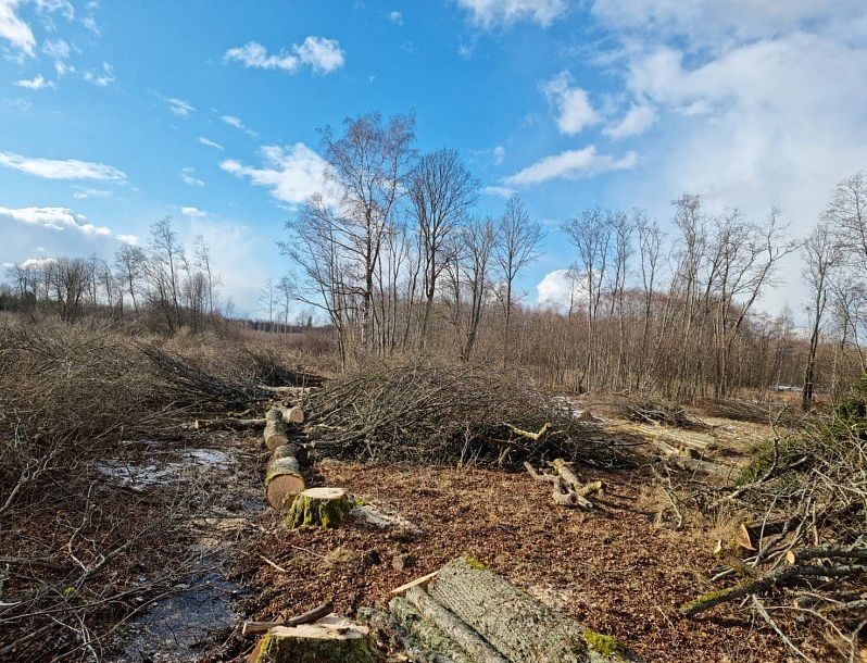 Cirsmu un mežu novērtēšana