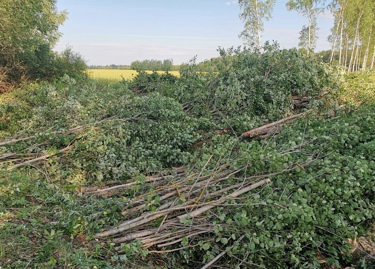 Zāģēšanas izvešanas pakalpojumi