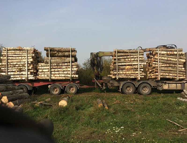 Pilna cikla meža apsaimniekošana