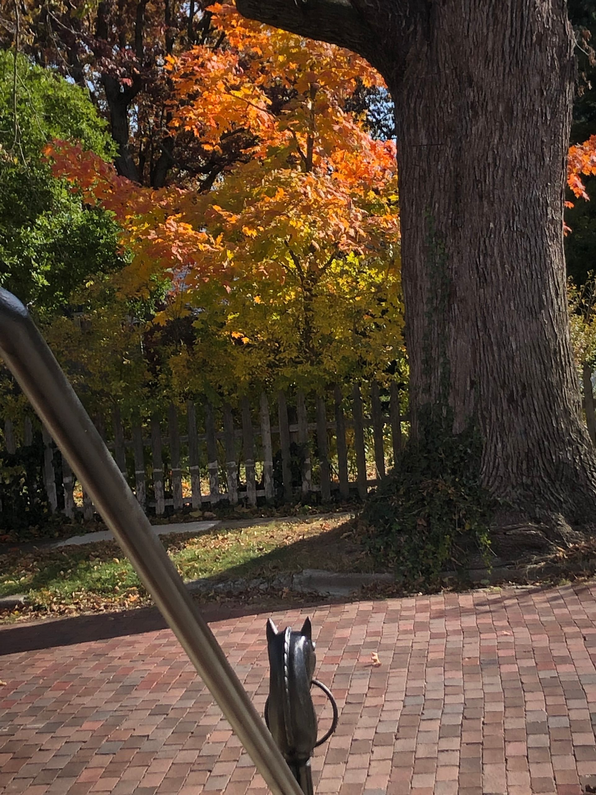 Historic District of Mt. Vernon