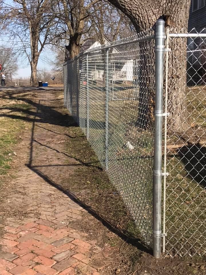 A chain-link fence runs along a brick sidewalk and past a large tree on a sunny, grassy lawn.