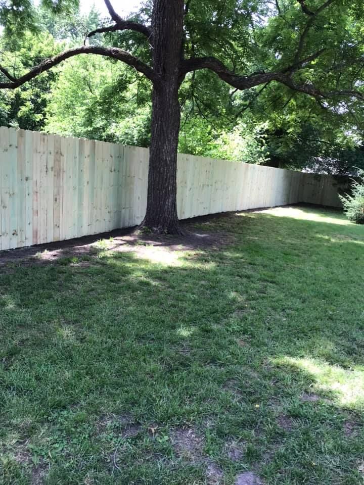 A new, light-colored wooden privacy fence spans across a grassy backyard with a large tree in the foreground.
