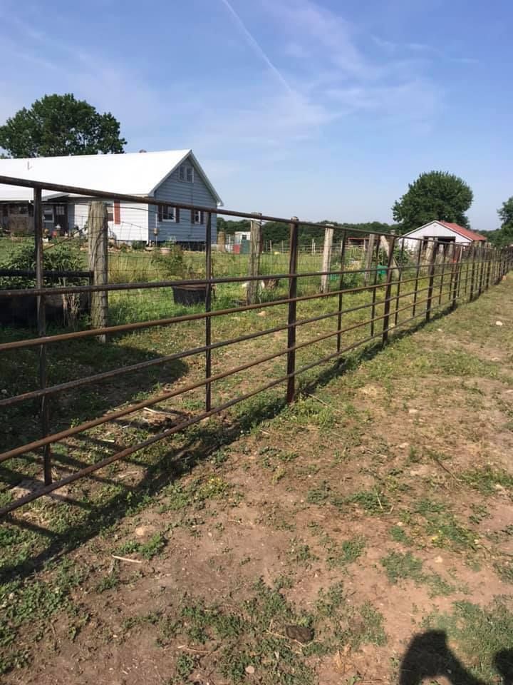 A long, metal fence panels a grassy rural field with houses in the background under a blue sky.