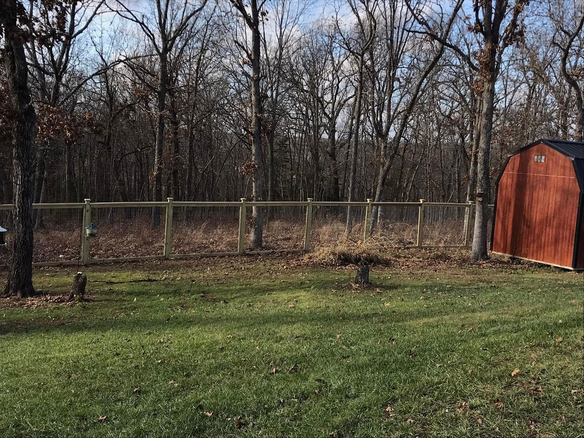 A grassy yard in front of a wire fence and a red wooden shed, set against a background of bare trees in autumn.
