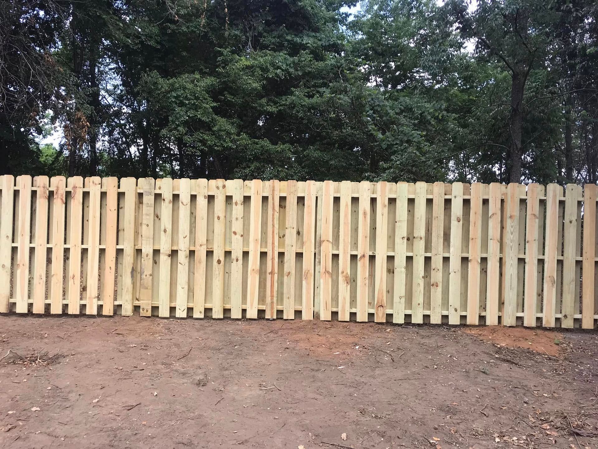 A newly installed, light-colored wooden picket fence stands in front of a dense line of trees on a dirt lot.
