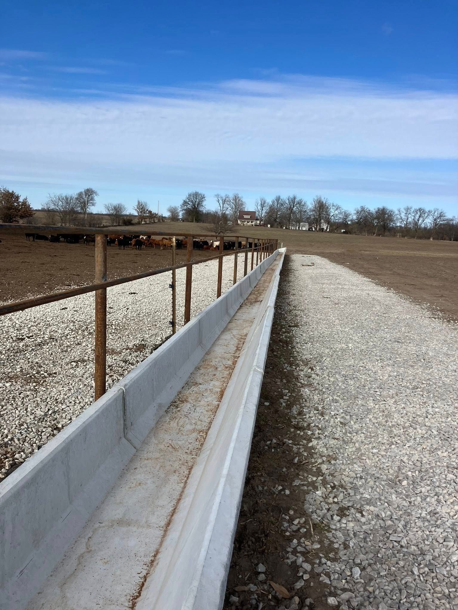 A concrete livestock feed bunk runs through a gravel feedlot with cattle visible in the background under a blue sky.