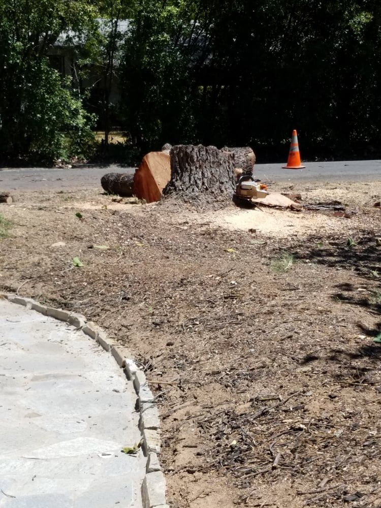 A tree stump is laying on the ground next to a sidewalk.