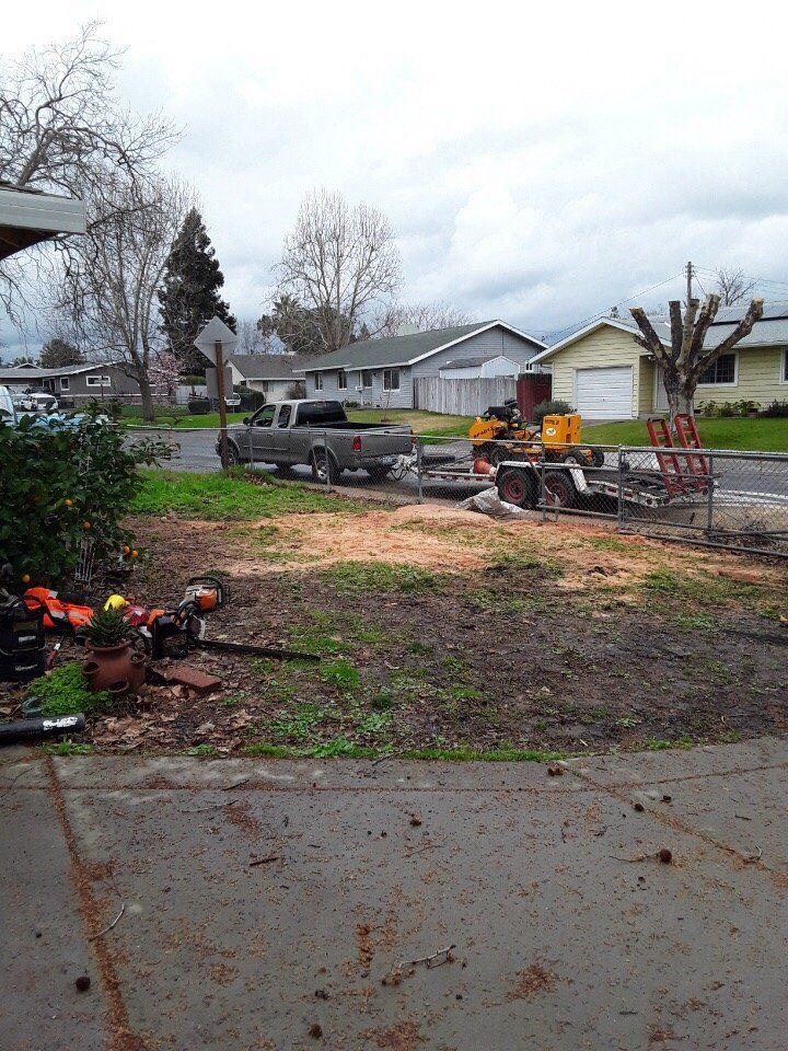 A truck is parked in the driveway of a house next to a tree stump.