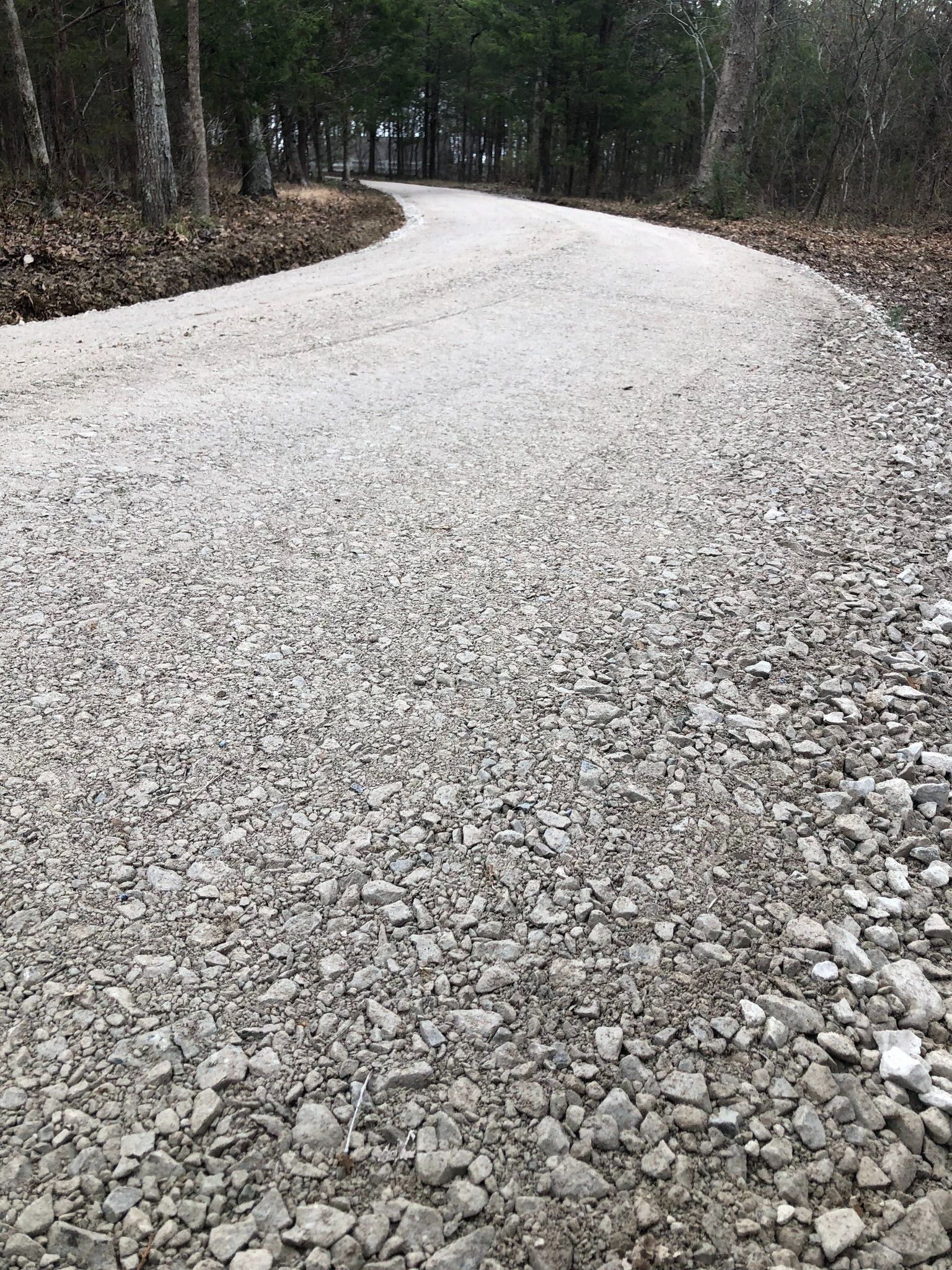 A gravel road going through a forest with trees on both sides.