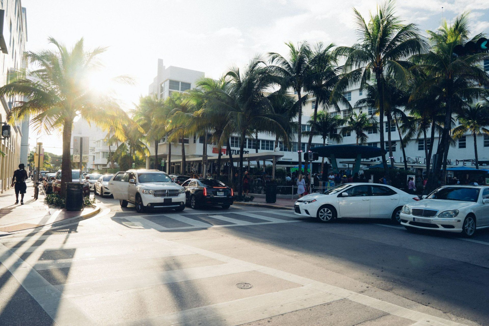 cars are parked on the side of the road in front of palm trees