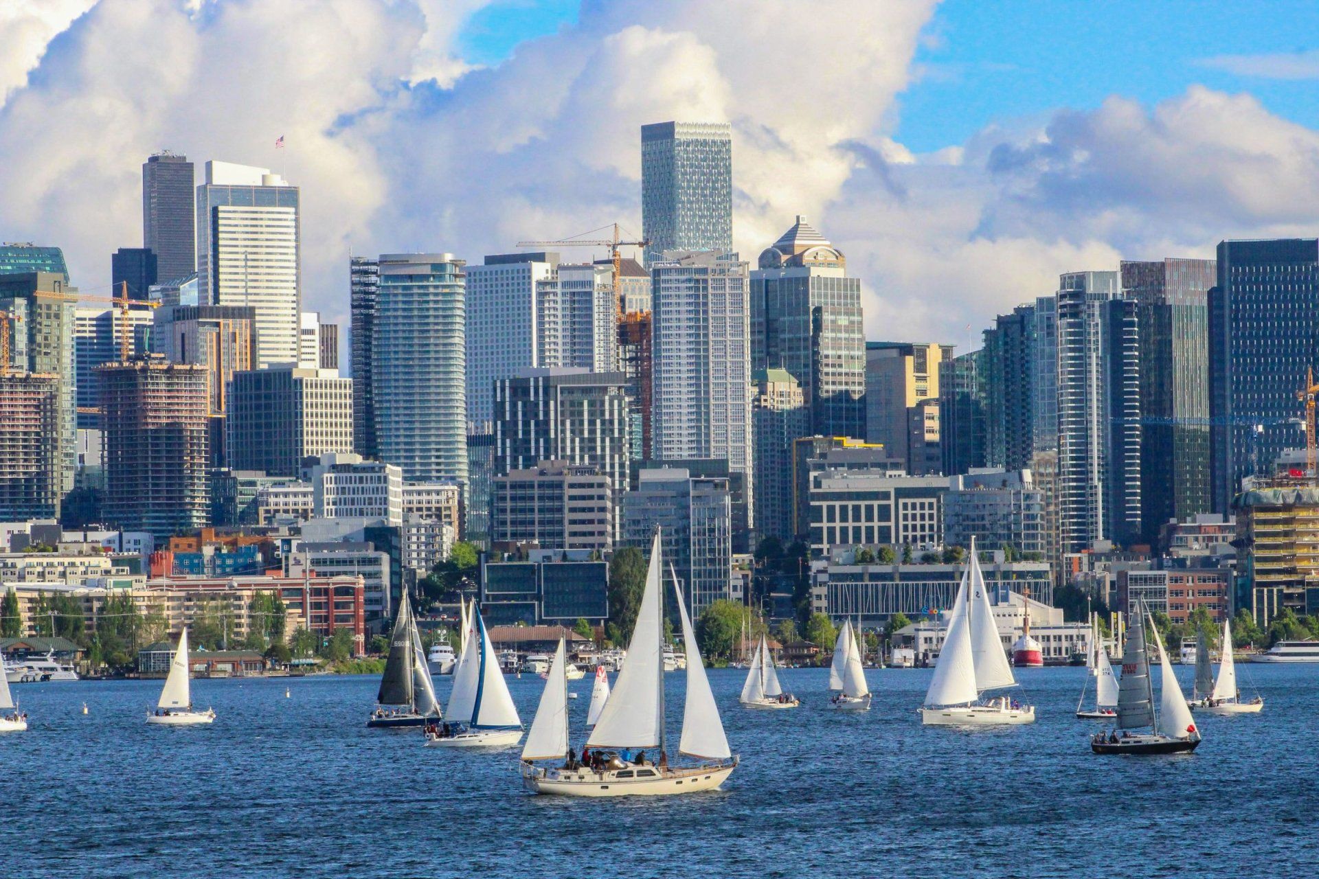 a group of sailboats are in the water in front of a city skyline