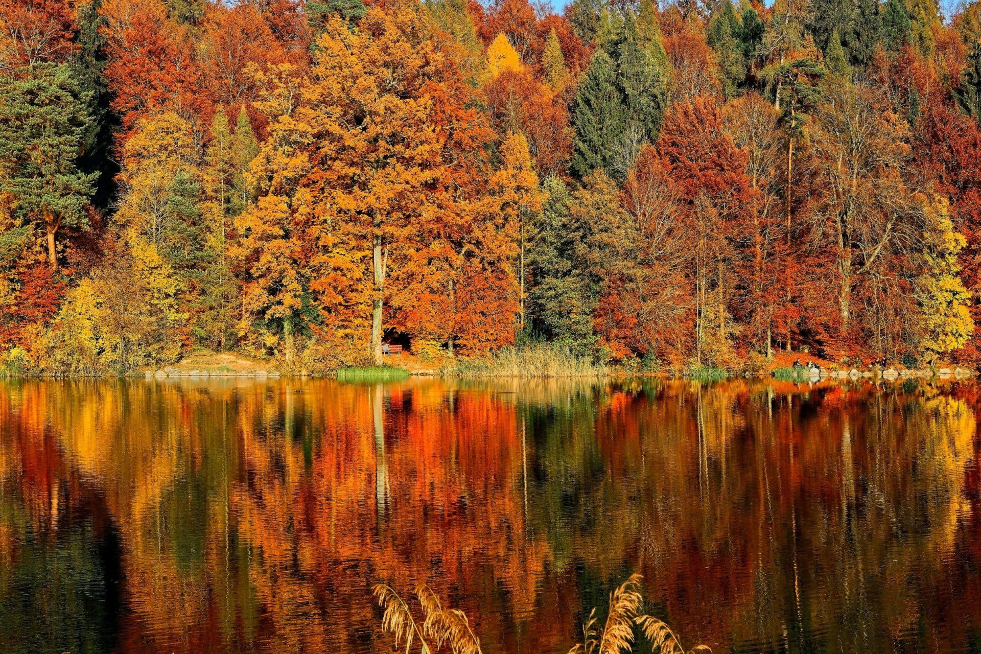 a lake surrounded by trees that are changing colors