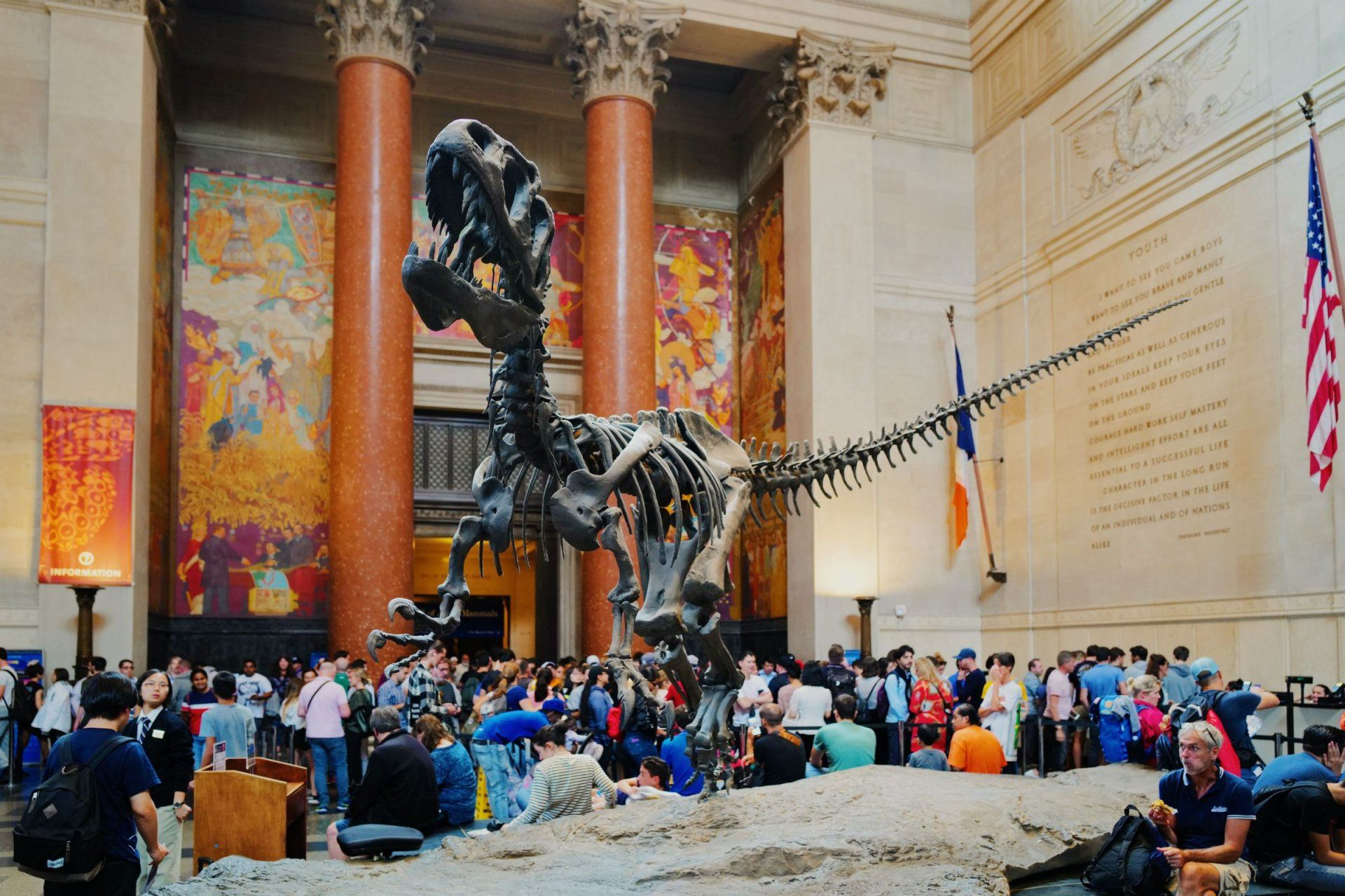 a large dinosaur skeleton is displayed in a museum