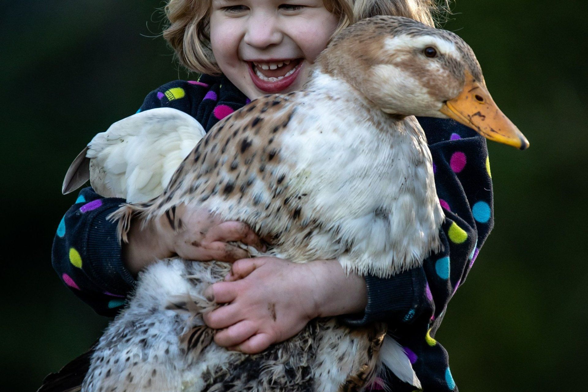 a little girl in a polka dot shirt is holding a duck