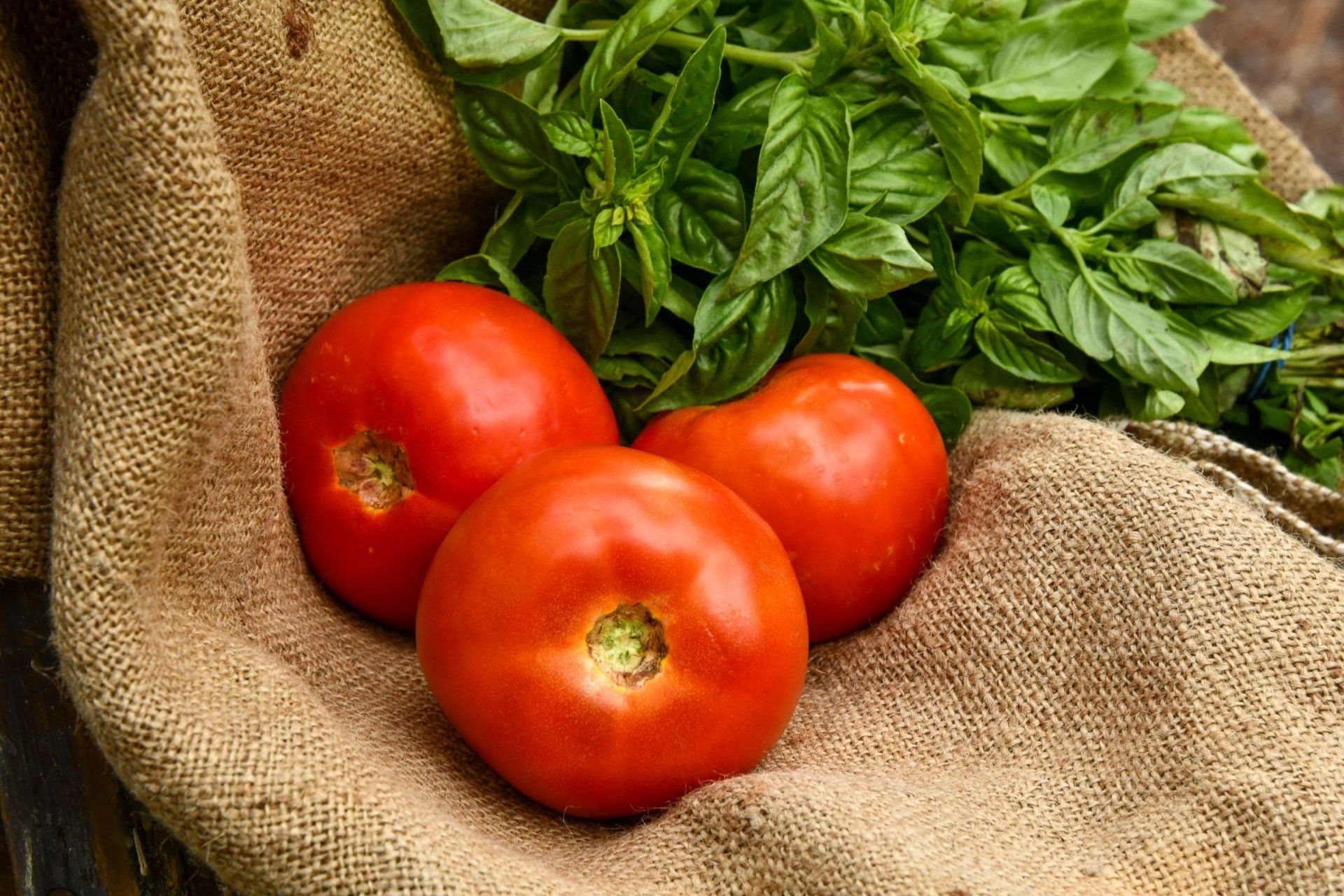 three tomatoes are sitting on a piece of burlap next to basil