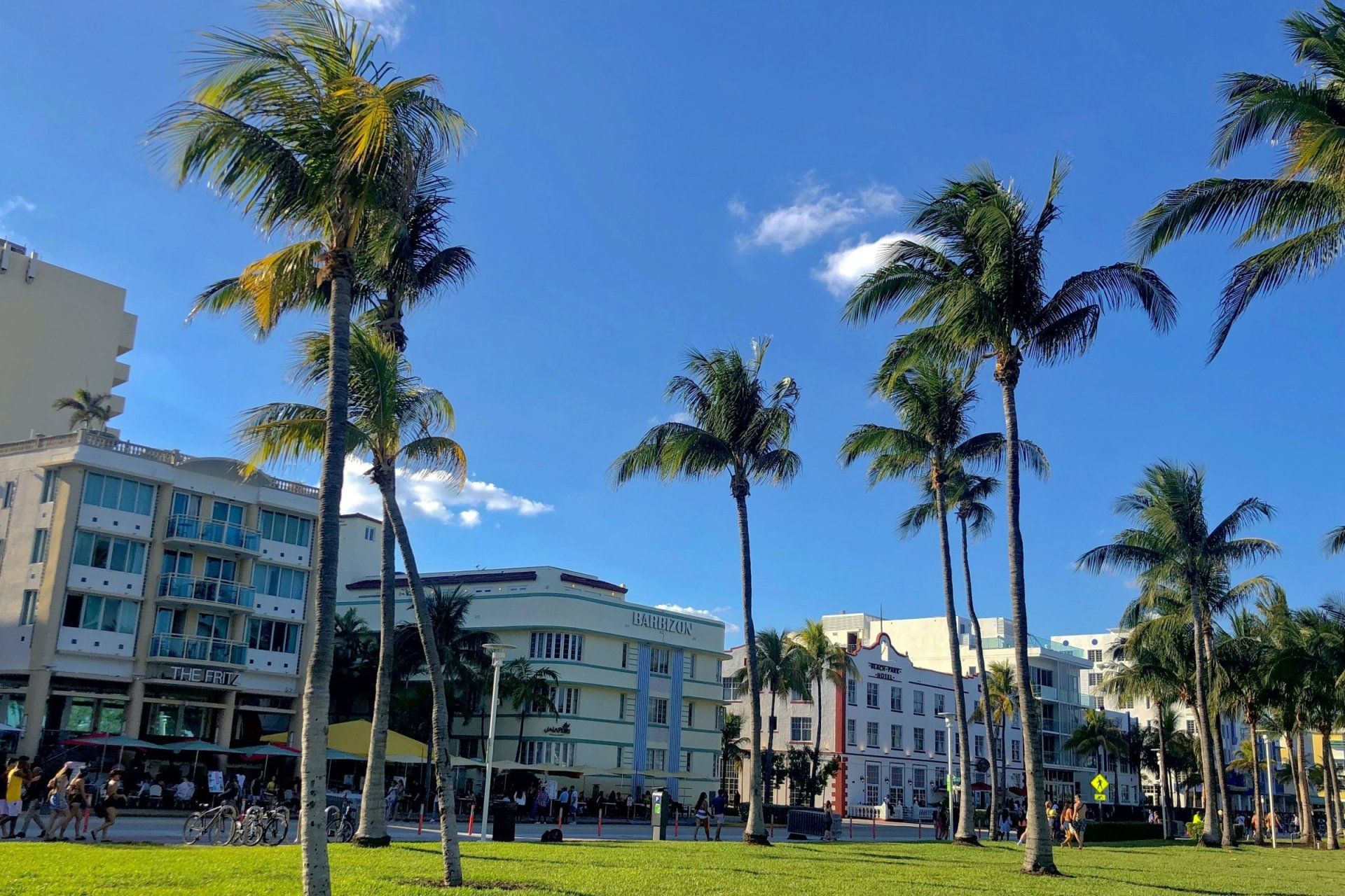 a row of palm trees in front of a building that says ritz - carlton