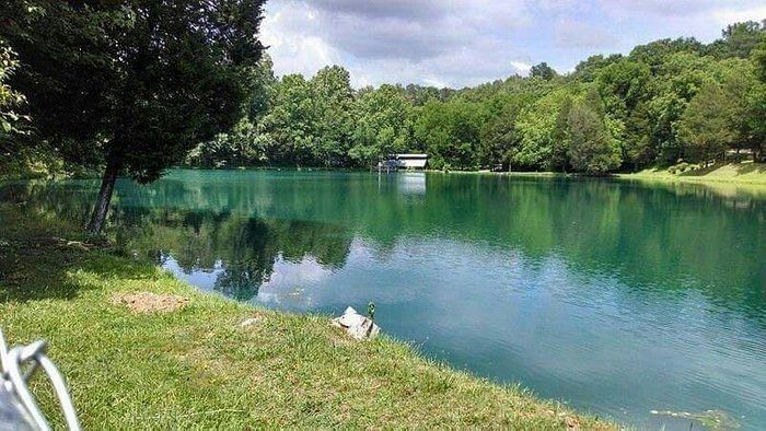 A large body of water surrounded by trees and grass.