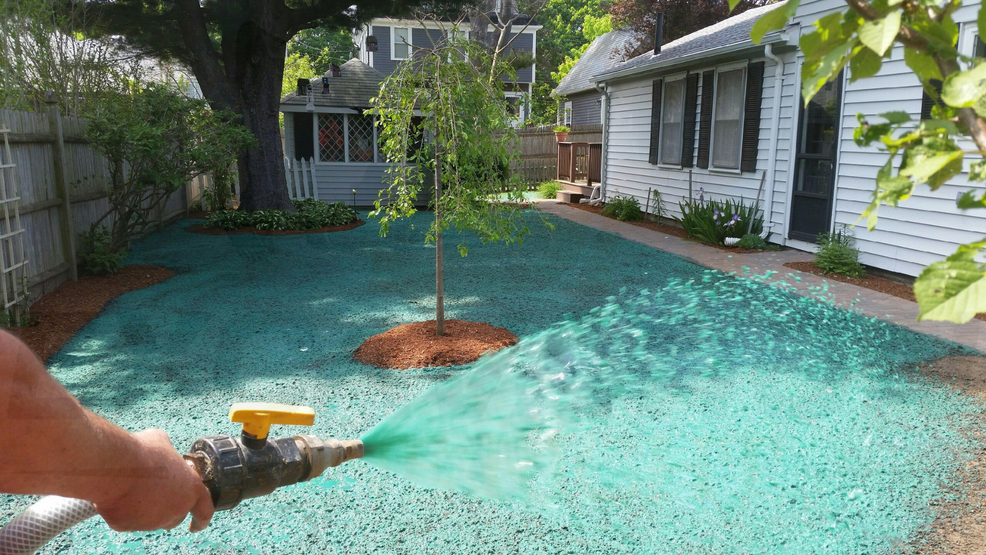 A person is watering a lawn with a hose.