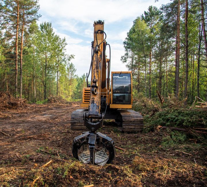 a yellow excavator is in the middle of a forest