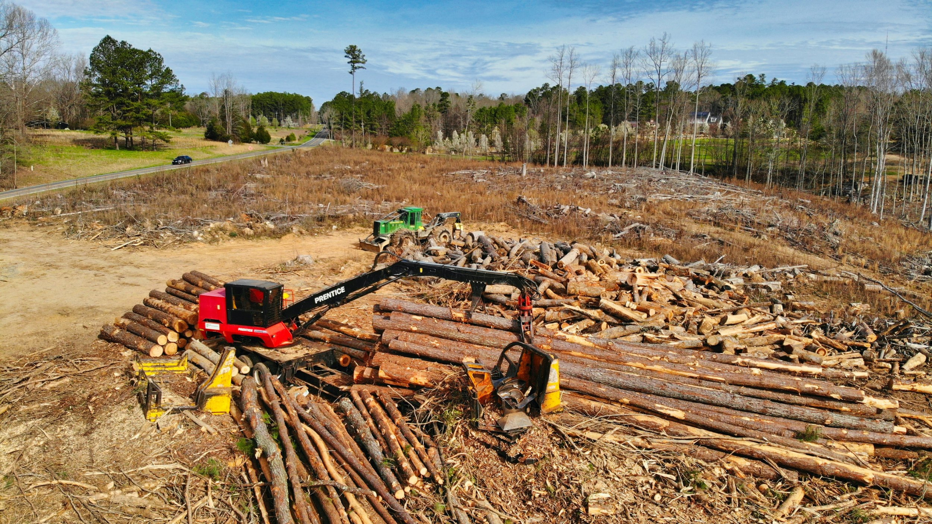 a large pile of logs is being harvested in a forest .
