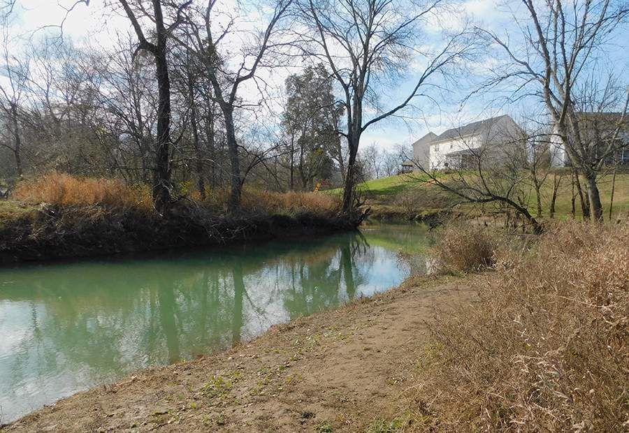 A river surrounded by trees and grass with a house in the background.