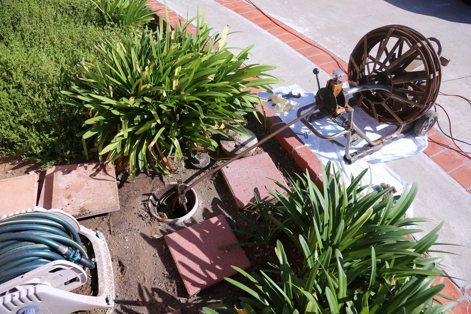 A hose is laying on the ground next to a drain cleaner.