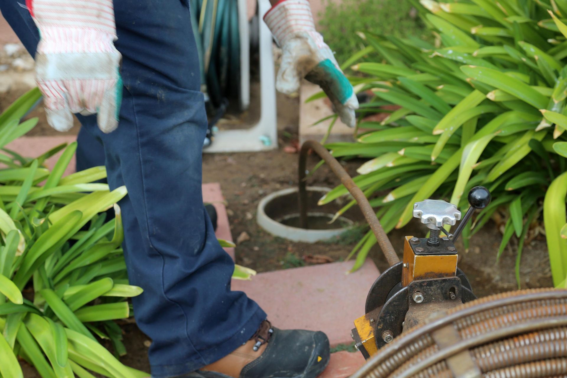 A person is using a hose to clean a drain in a garden.