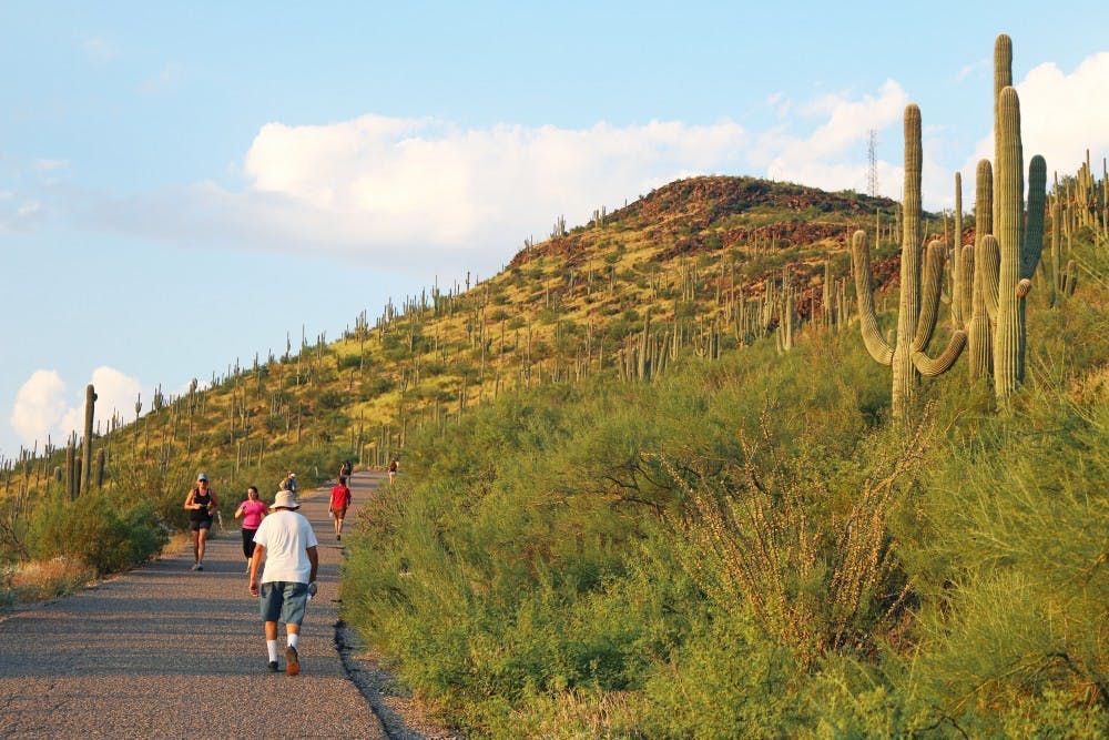 A group of people are walking up a hill in the desert.