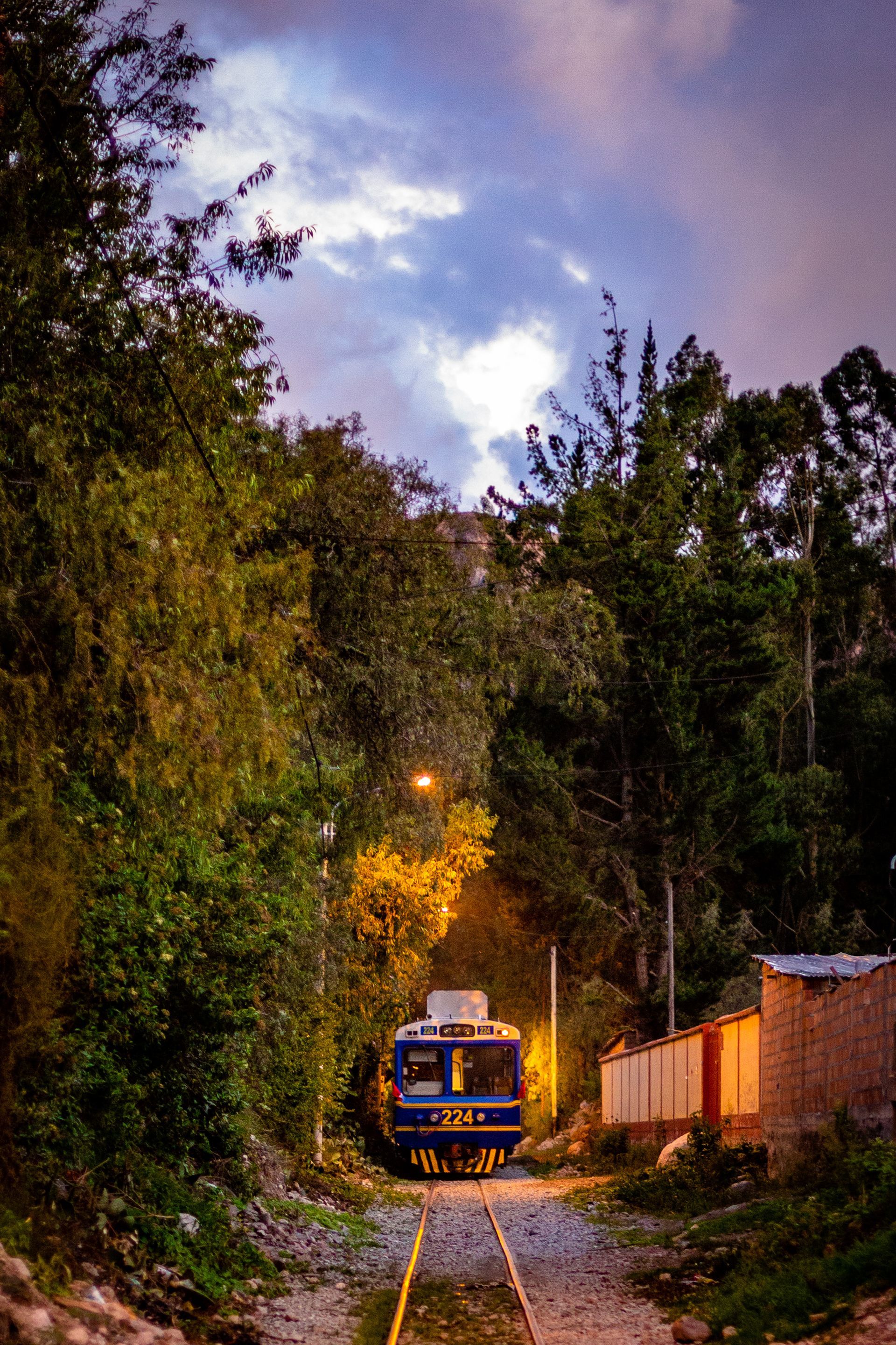 A train is going down train tracks in the woods at night.