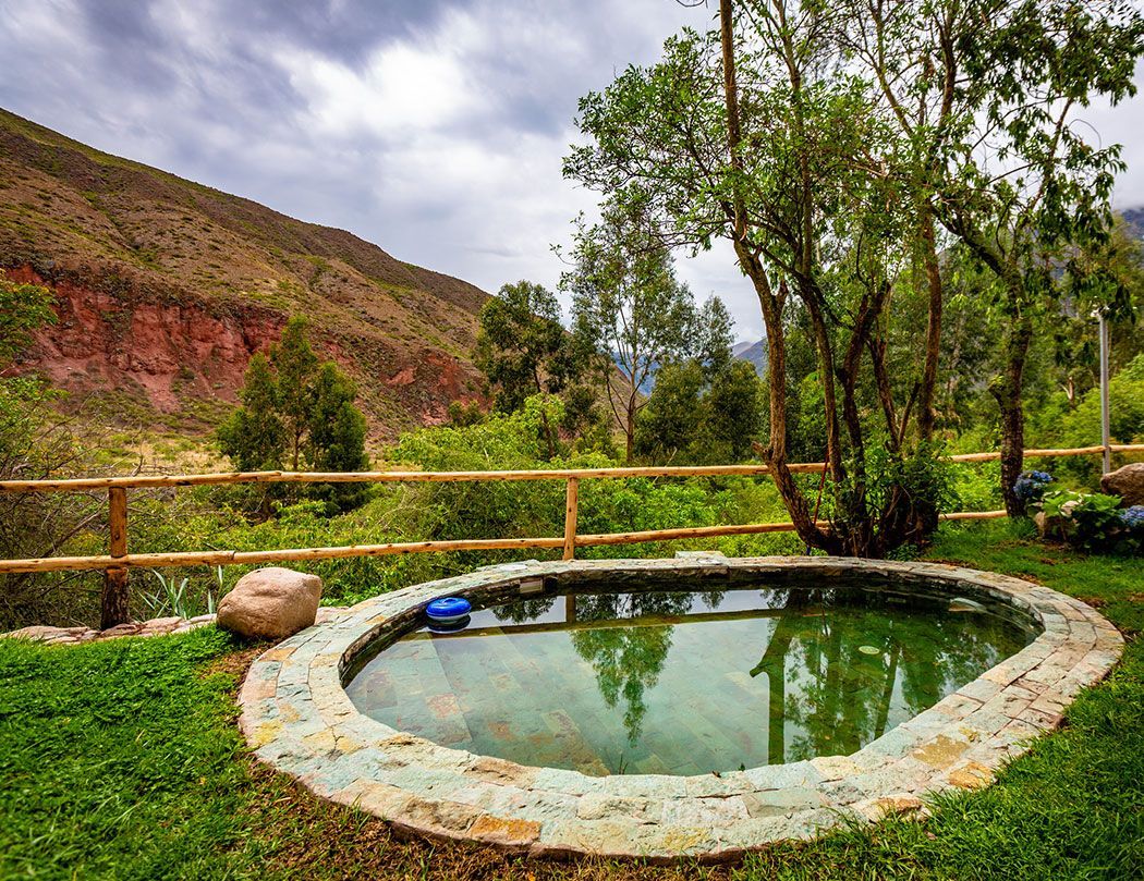 A small pond surrounded by grass and trees with a wooden fence in the background.