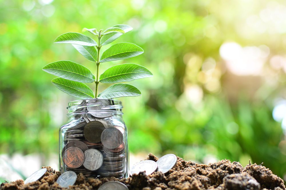 Jar Filled With Coins, a Plant Growing Out of the Top — Midcoast Financial Planning Group in Tuncurry, NSW