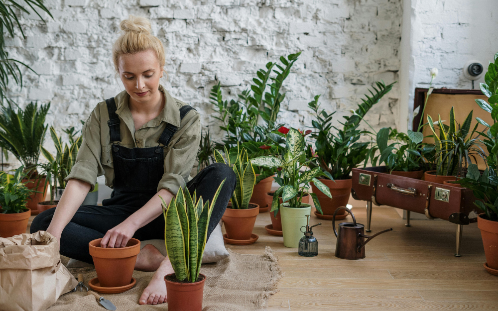Woman Potting a Plant — Midcoast Financial Planning Group in Tuncurry, NSW