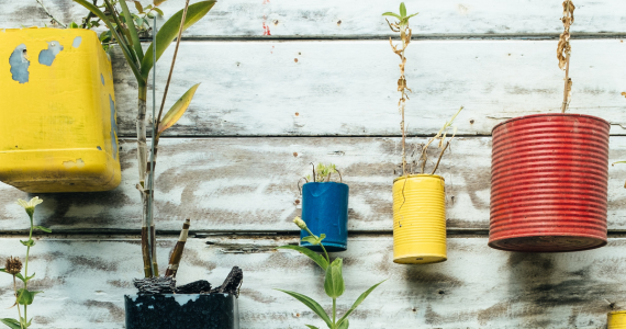 Colorful Repurposed Tin Can Planters — Midcoast Financial Planning Group in Tuncurry, NSW