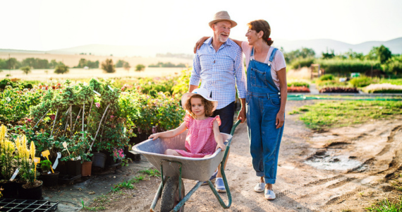 Family Pushing Child In A Wheelbarrow  — Midcoast Financial Planning Group in Tuncurry, NSW