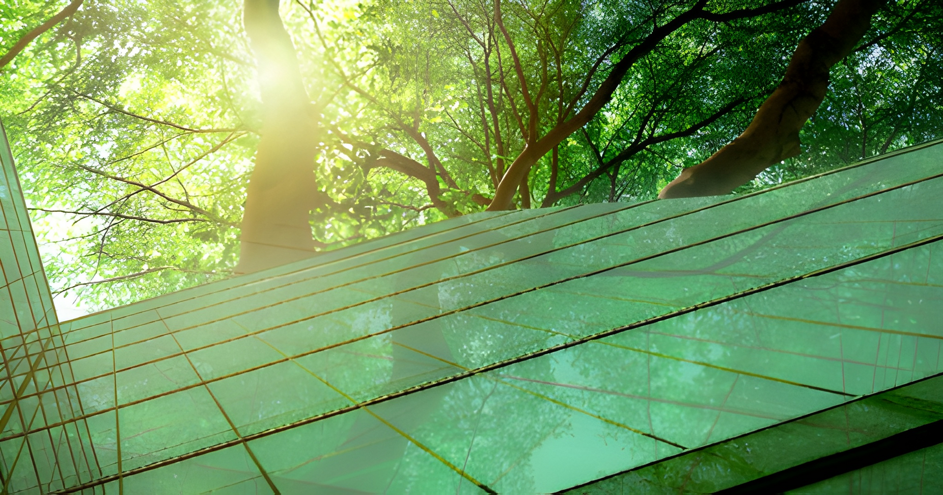 Green Glass Building, Angled Upward, Framed by a Sunlit Forest Canopy — Midcoast Financial Planning Group in Tuncurry, NSW