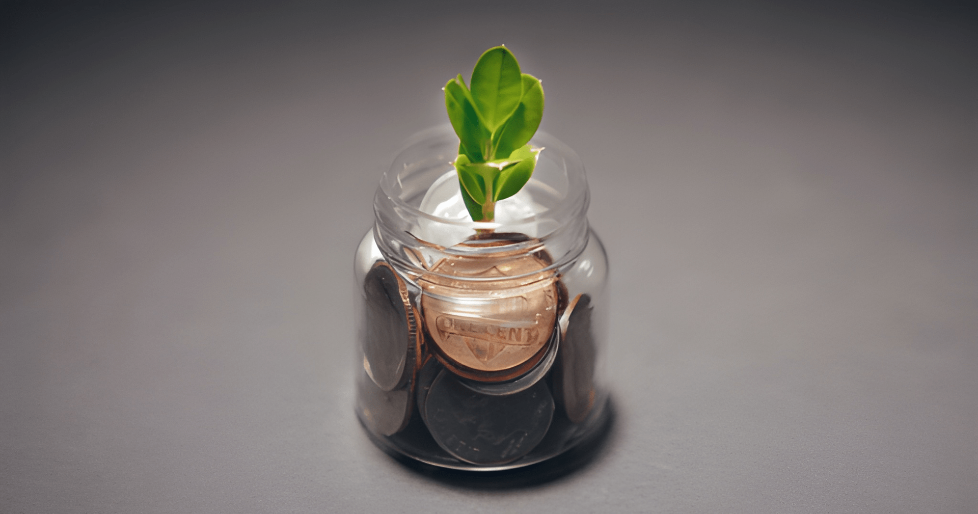 Jar of Coins With a Small Plant Growing Out the Top, on a Gray Surface — Midcoast Financial Planning Group in Tuncurry, NSW