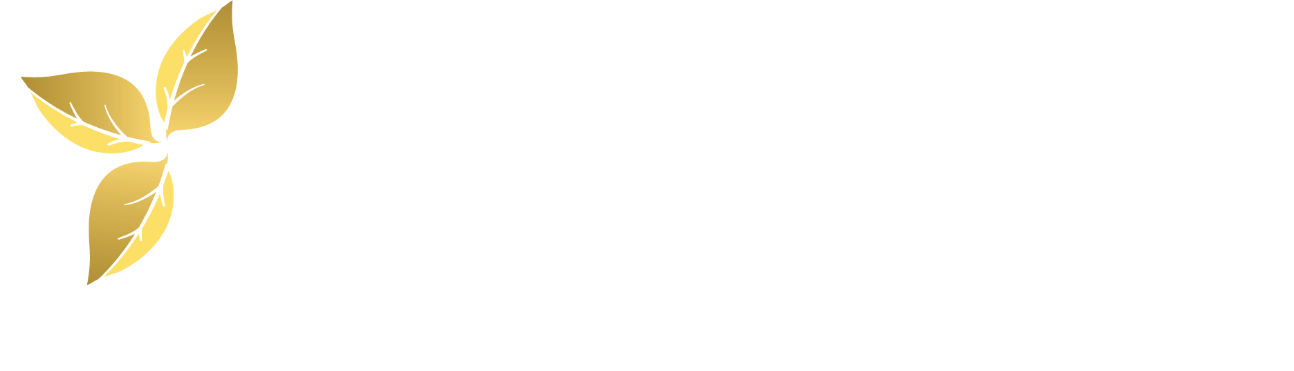 Trinity Memorial Centers Footer Logo