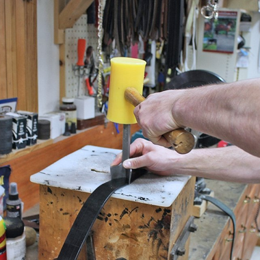 charm harness and boot