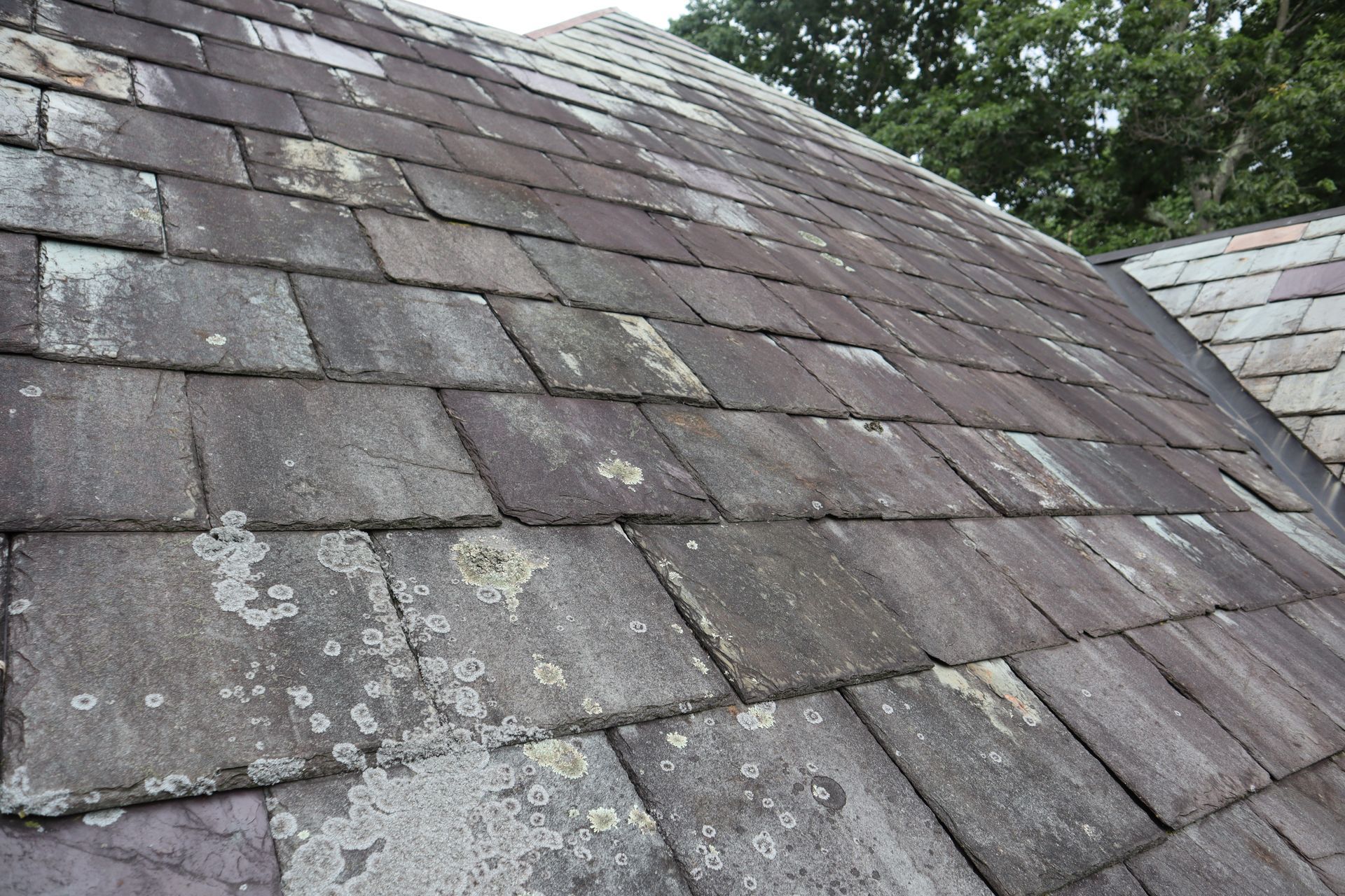 A roof before a soft washing service